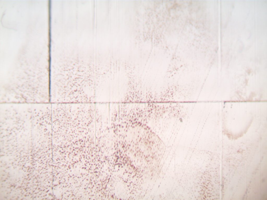 Nakamichi BX100 head lapping